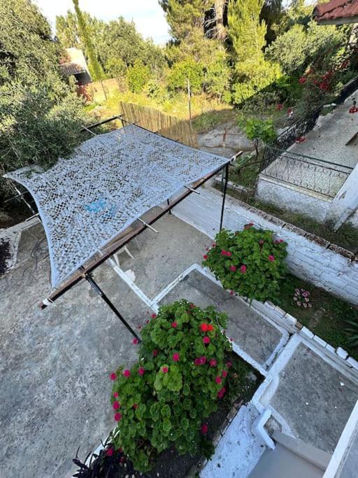 Appartement Olive Tree The Master Bed And Balcony Benitses (Corfu)